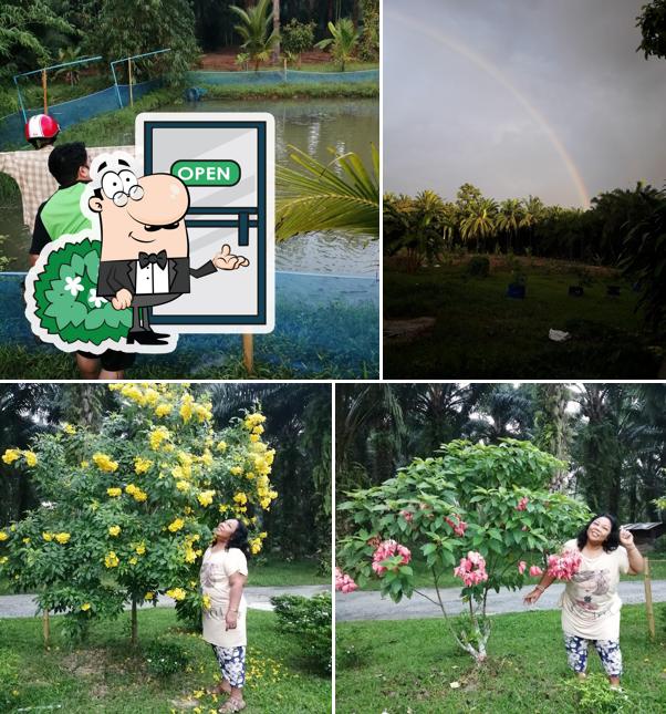 ผักหวานสวนผสม