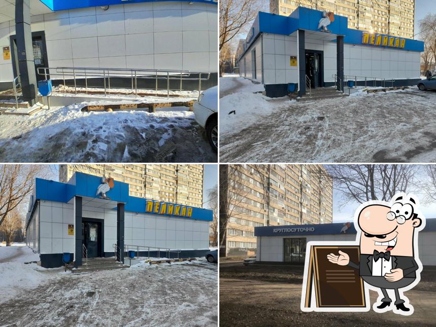 Белый пеликан