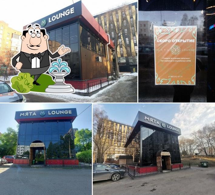 Мята Lounge Павловского
