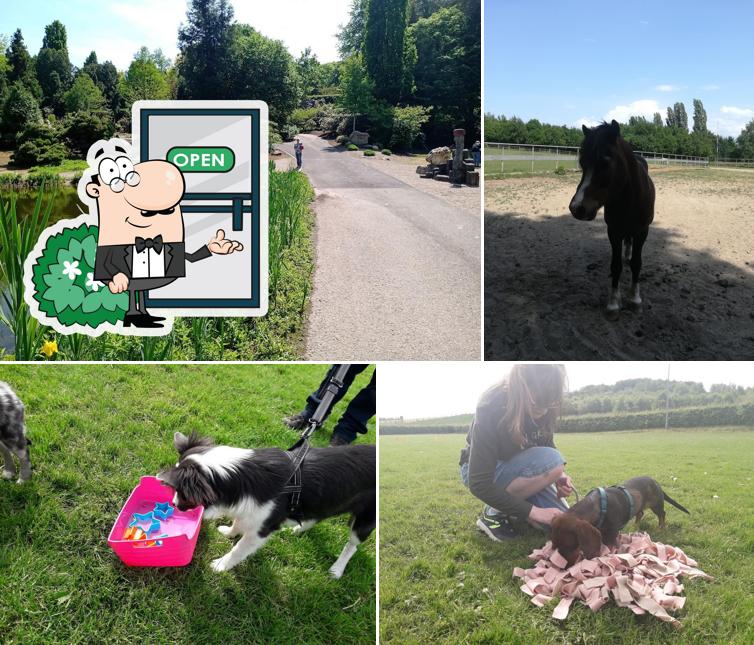 Rimburgerhoeve
