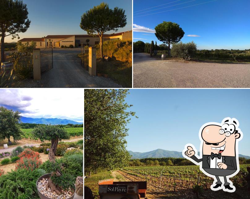 Domaine Sol-Payré
