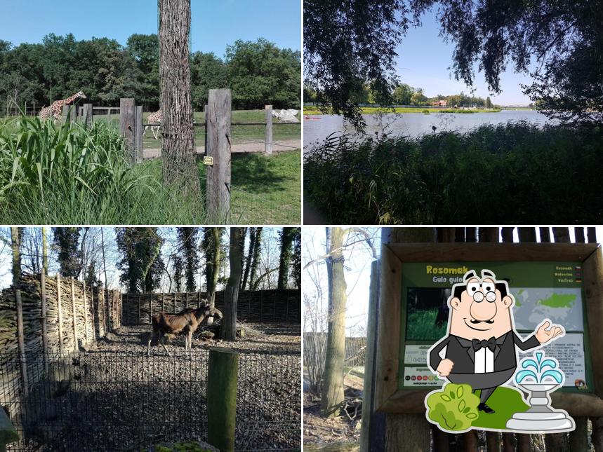 Karczma Pod Dębami