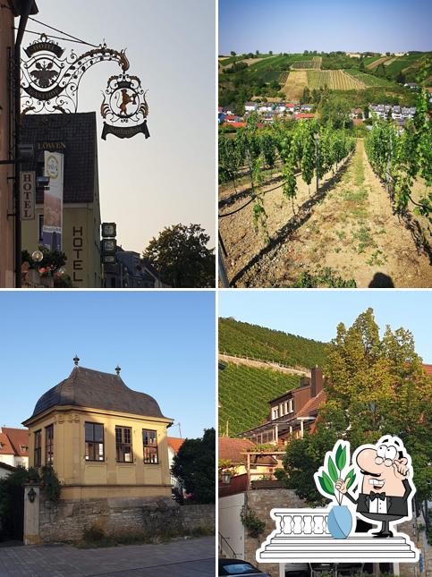 Weingut Schenk
