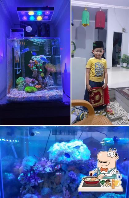 Rafka Home's
