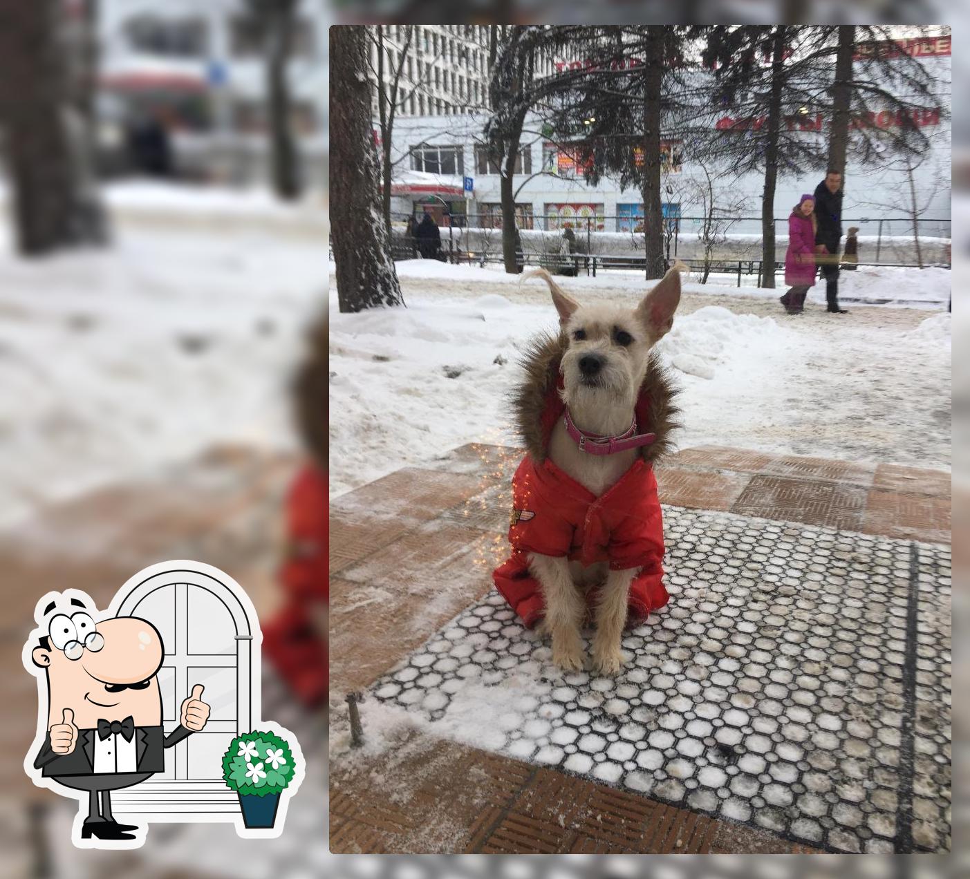 У Палыча