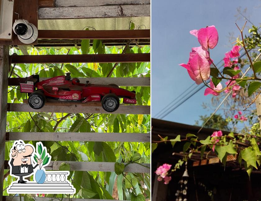 ร้านอาหารมาเพลิน