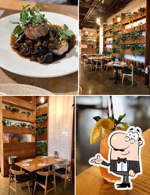 Hatch & Co
