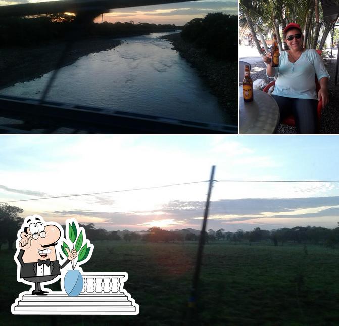 Caldo PARADO, ESTADERO EL Alcaravan.