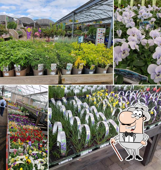 Strikes Garden Centre