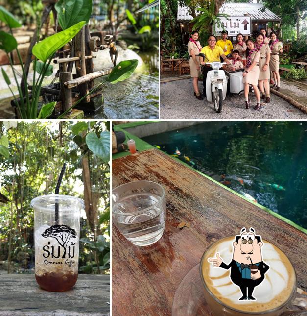 ร่มไม้คอฟฟี่ By บ้านสวนปลาสวยงาม
