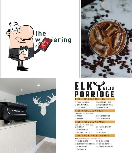 The Wandering Elk