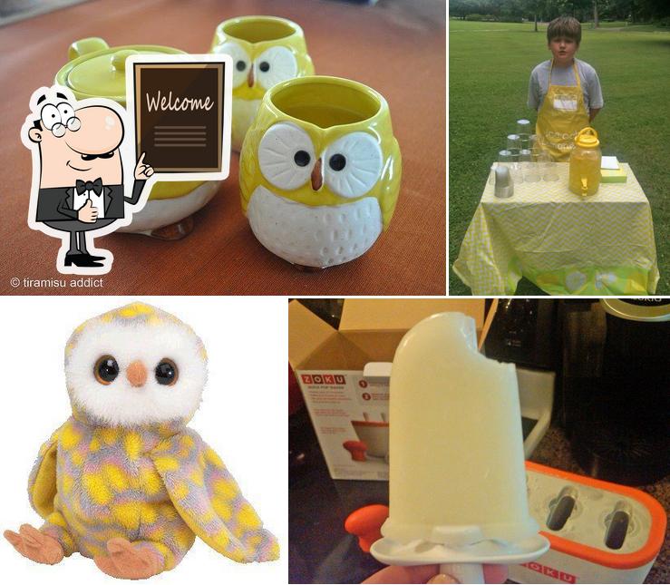 Owl Lemonade