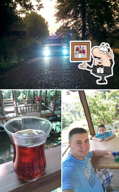 başdeğirmen alabalık tesisi