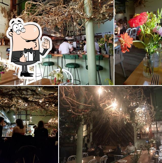 Field & Vine