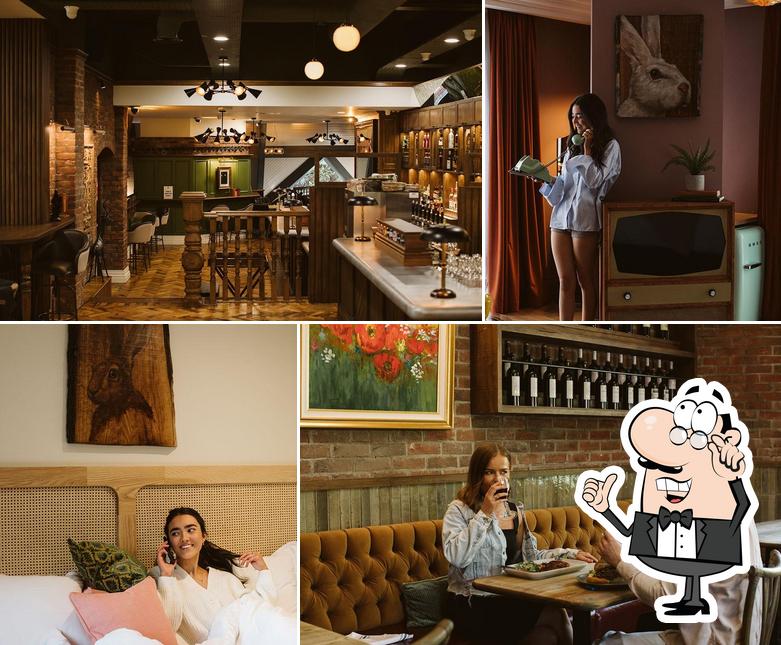 The Rabbit Hotel & Retreat