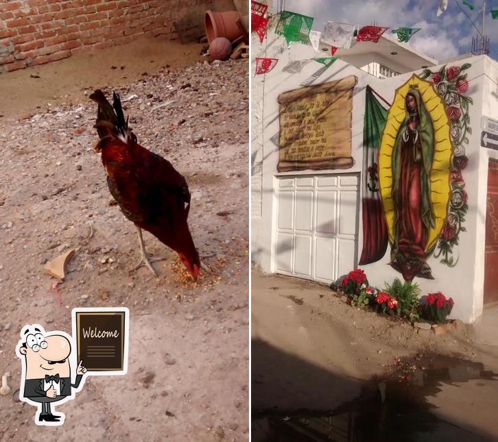 El Taco H