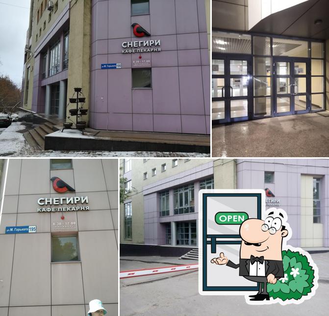 Снегири