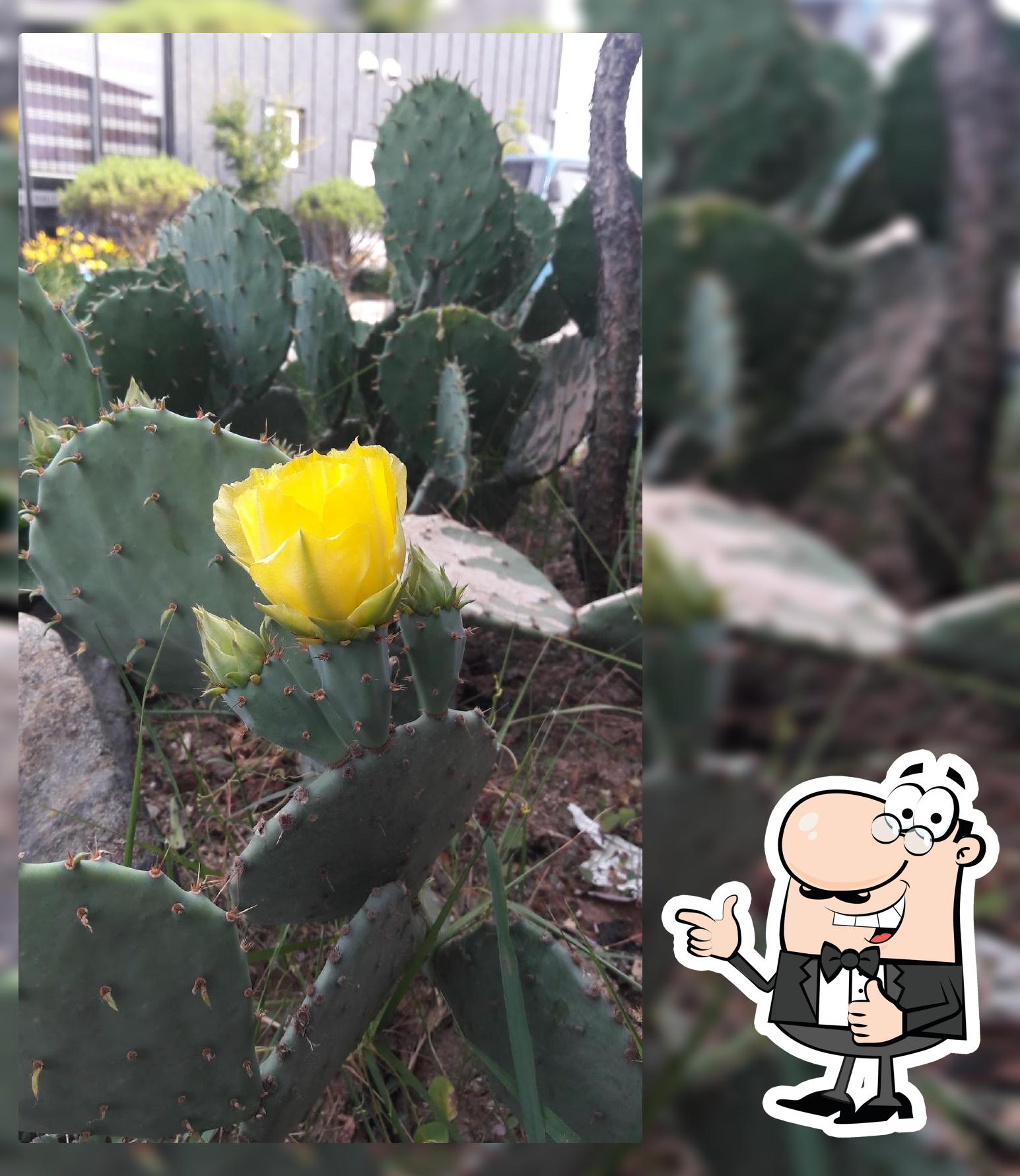시장회집