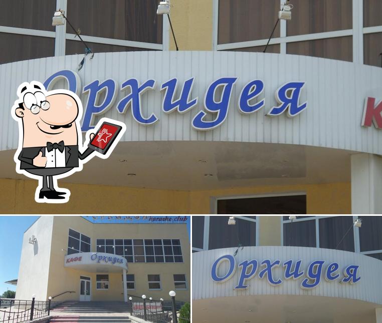 Орхидея