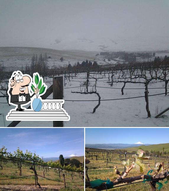 Marshal's Winery