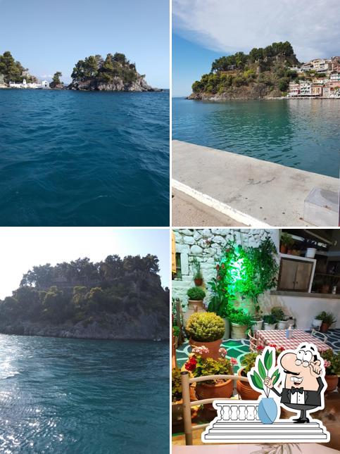 Taverna Hani