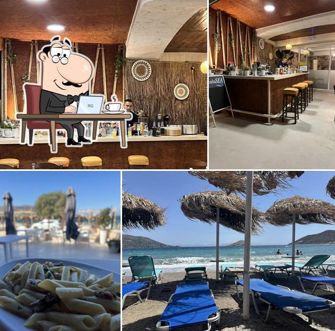 BUDDHA all-day Beach Bar restaurant
