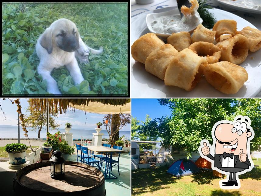 Yeşilim Camping Restaurant