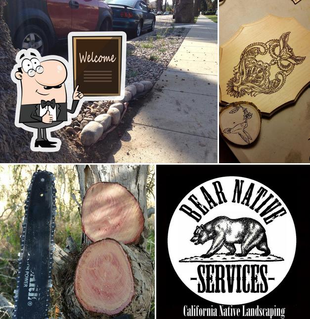 Bear Native Services