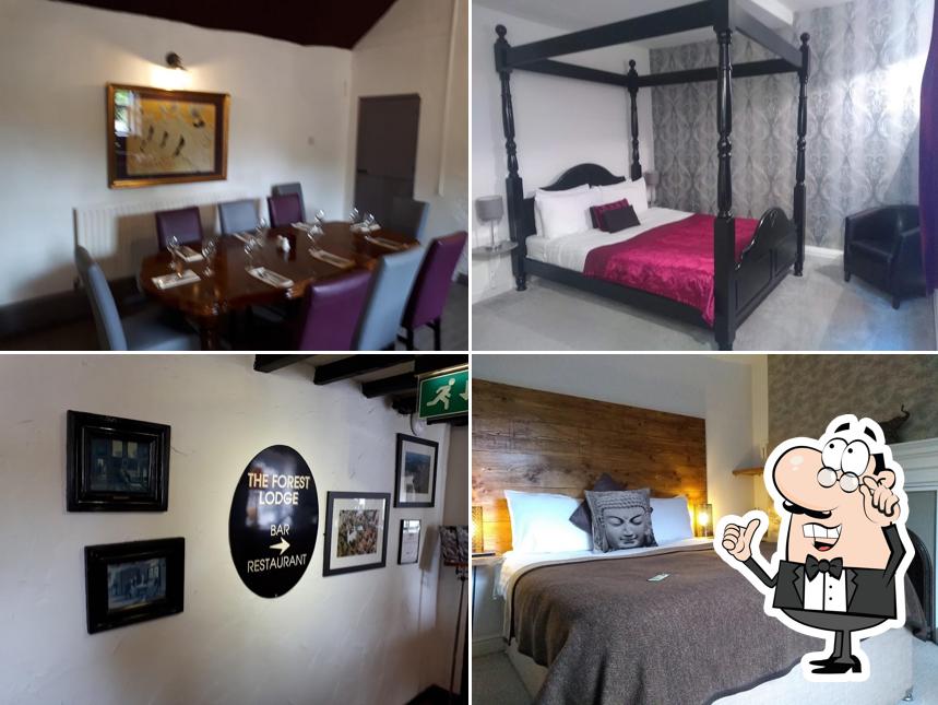 The Forest Lodge Hotel