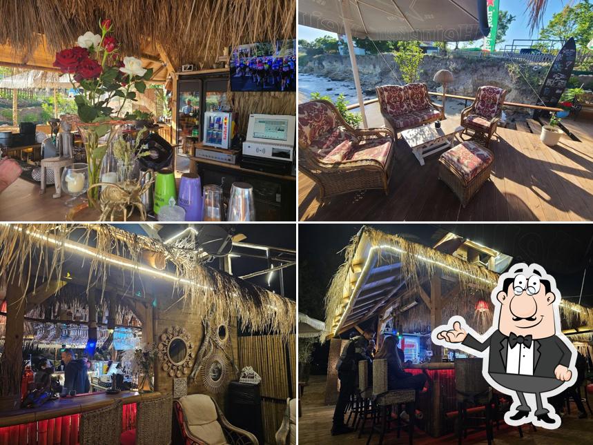 Extreme Surf School and Bar