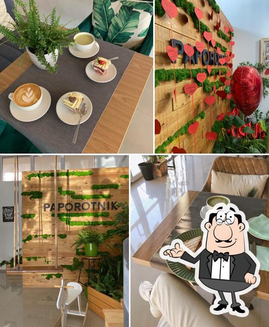 Папоротник