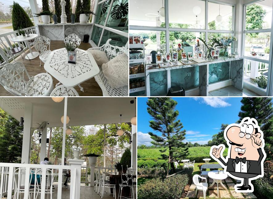 สวนสน Suan Son Café De Pine Chiangmai