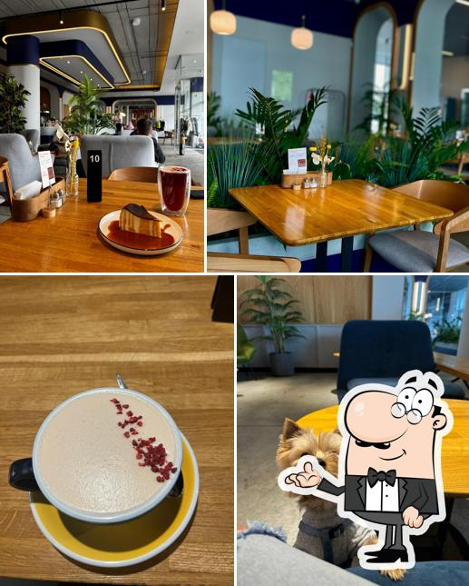 Забронируйте столик в "Вольсов"