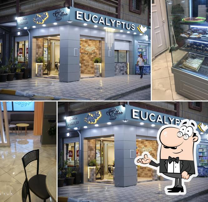 Café Eucalyptus