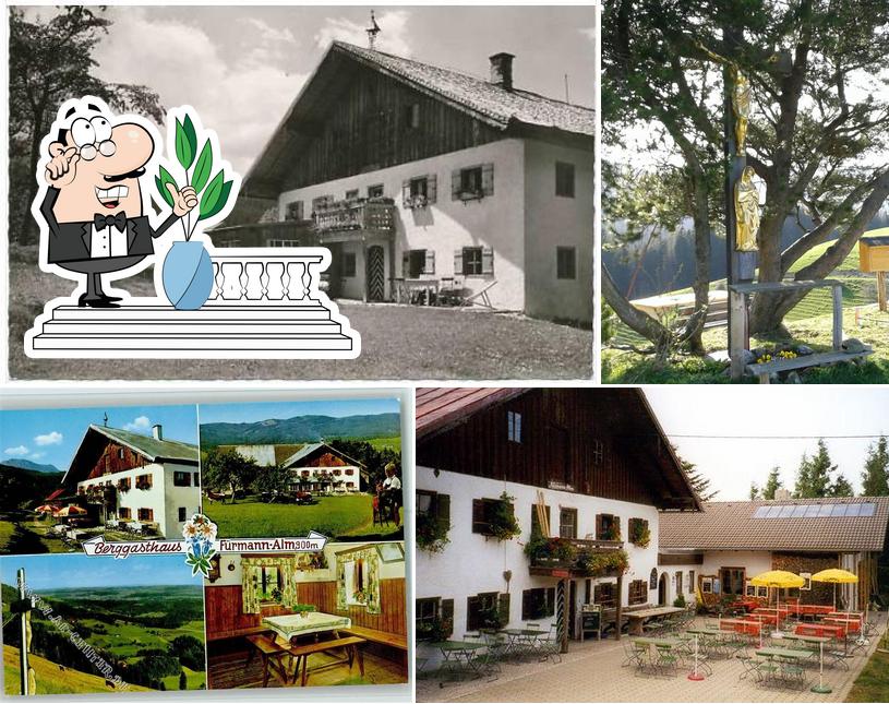 Fürmann Alm Anger
