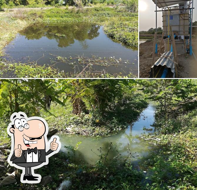 บ้านสวนส้มผิว