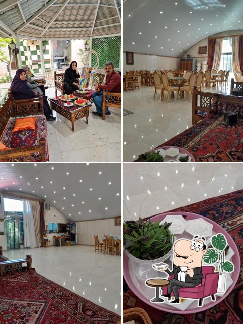 آقای دیزی همدان