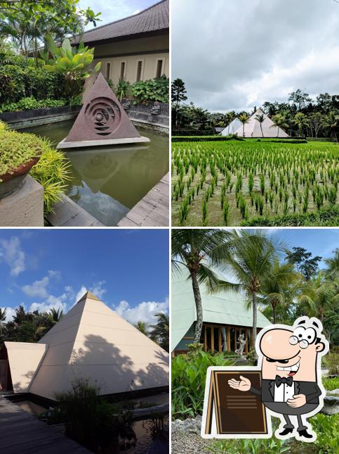 Pyramids Of Chi