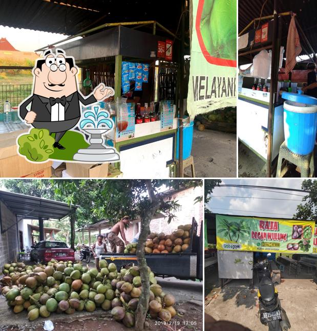 Degan raja