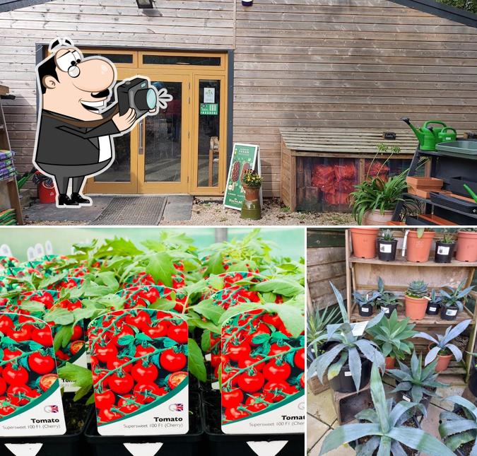 Longcombe Cross Garden Centre