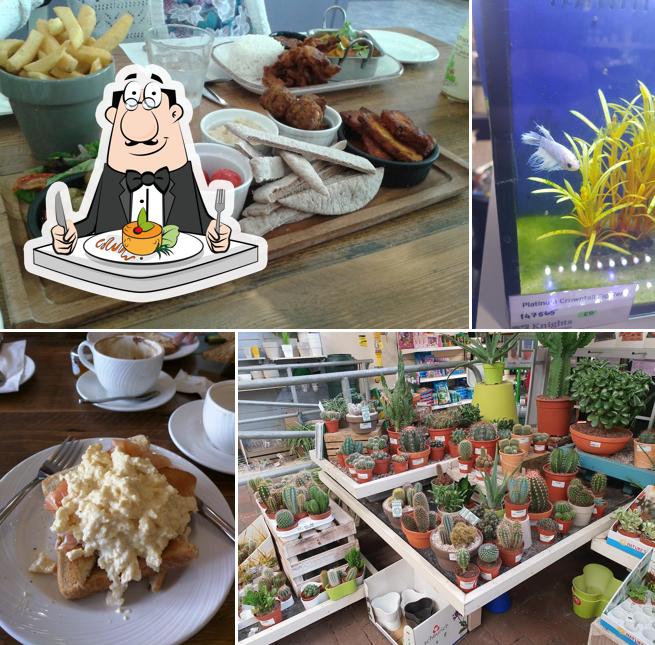 Knights Garden Centres - Nags Hall