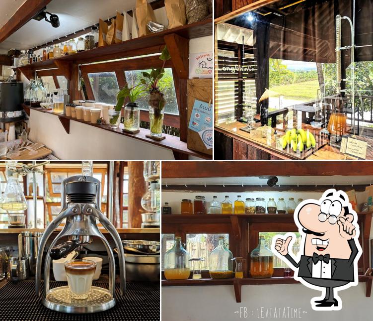 Long time farm stay (Slow bar &​ Organic farm)​ ร้านกาแฟแม่แตง