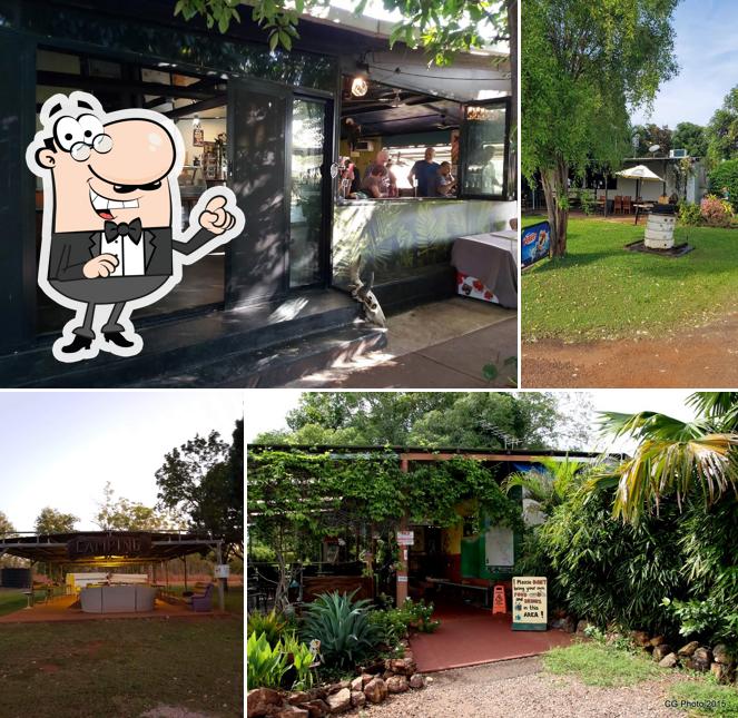 Banyan Tree caravan park resort Litchfield