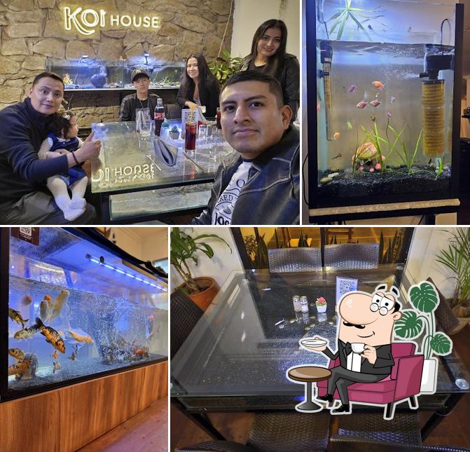 koi-house