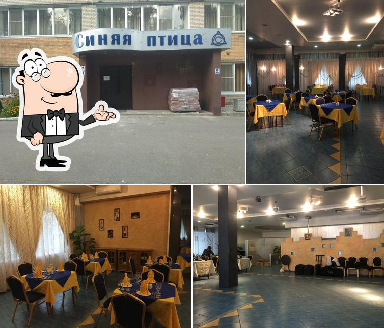 Синяя птица