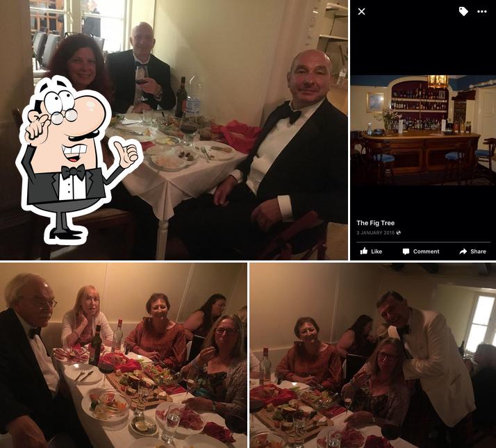 The Fig Tree