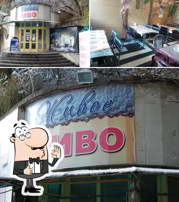 Живое пиво