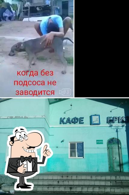 Гид Кафе