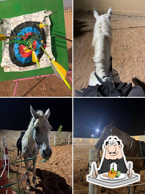 نادي الوسام للفروسية