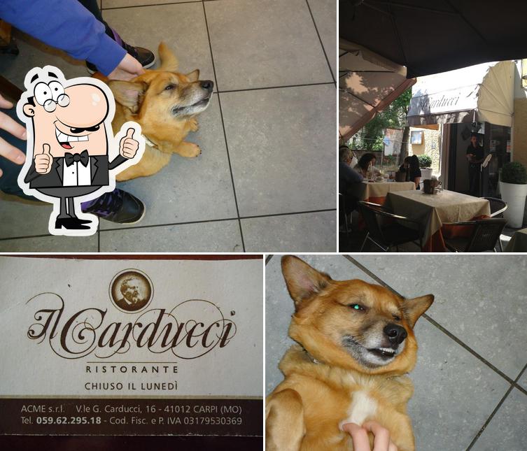 Il Carducci